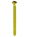 CANCELLOUS SCREWS