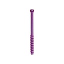 CANNULATED SCREWS