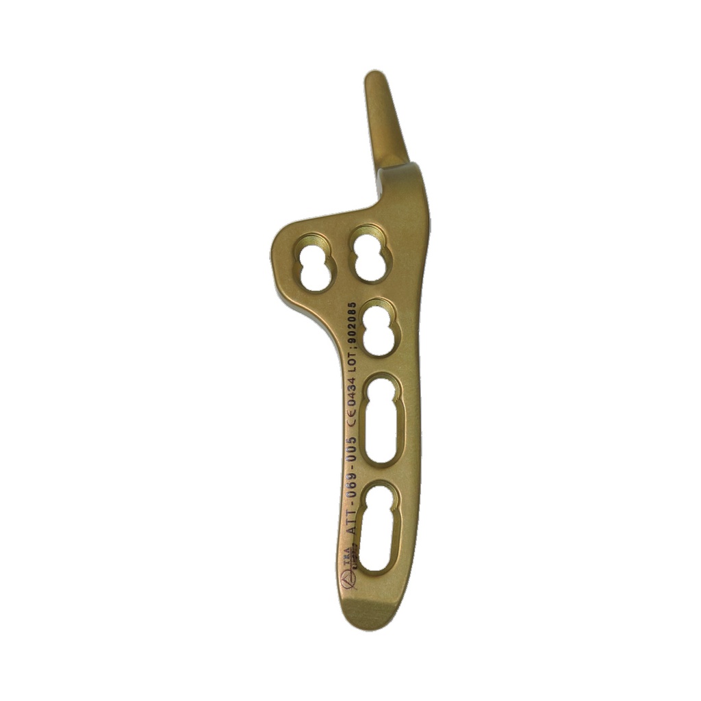 CLAVICLE HOOK LCP PLATE