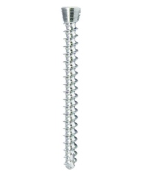 CANCELLOUS LOCKING SCREWS