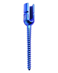 MONOAXIAL REDUCTION SCREWS