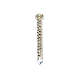 BOLT LOCKING SCREW